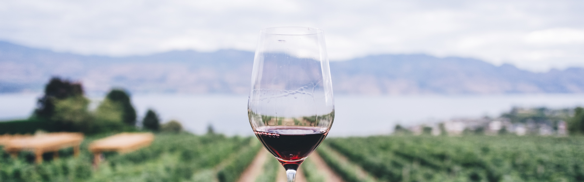 Amarone della Valpolicella